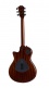 T5Z Classic Sassafras