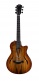 T5Z Classic Sassafras