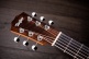 Ts-Bte Signature Taylor Swift Baby