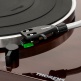 TD 204 A Noyer