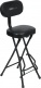 Guitar Seat