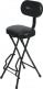 Guitar Seat