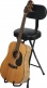 Guitar Seat