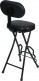 Guitar Seat