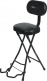 Guitar Seat