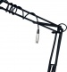 A25 Black Perche
