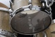 Star Walnut Stage 22 Antique White Japanesechestnut