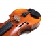 Pure Ew Alto 1/2 (33
