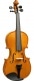 VIOLON MASSIF 1/2