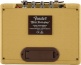 MINI '57 TWIN-AMP, TWEED
