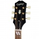 Bluebird Signature Miranda Lambert Bluebonnet