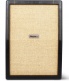 2X12'' 130W STUDIO JTM CAB