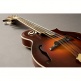 M-300 NASHVILLE SERIES ARCHTOP MANDOLIN PICKUP