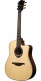 Hyvibe 30 Dreadnought Ctw