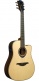 Hyvibe 30 Dreadnought Ctw
