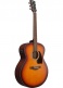 Pj50E-Oah Open Pore Vintage Amber Sunburst Top, Open Pore Natural Back And Sides