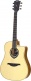 Hyvibe 20 Dreadnought Ctw