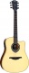 Hyvibe 20 Dreadnought Ctw