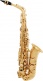 ALTO SAXOPHONE BEGINNER VARNISHED A300