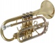 WCR200 - Si B Verni