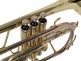 WCR200 - Si B Verni