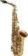 WSA100 - Alto Mi B Verni