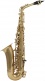 WSA100 - Alto Mi B Verni