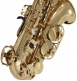 WSA100 - Alto Mi B Verni