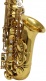 WSA300 - Alto Mi B Verni