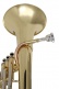 WSH200 - Bb vernist
