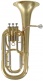 WSH200 - Bb vernist