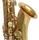 WST100 - Tenor Bb Gevernist