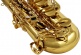 WST300 - Tenor Si b Lackiert