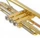 WTP200 - B b lackiert