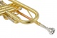 WTP200 - Sib verniciato
