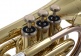 WTP200P - Bb vernist