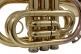 WTP200P - Bb vernist