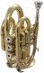 WTP200P - Bb vernist
