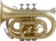 WTP200P - Bb vernist