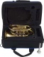 WTP200P - B b Lackiert