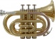 WTP200P - Bb vernist