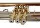 WTP400 - BB (PINK BRASS BELL)