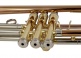 WTP400 - Si b Verni (pavillon Cuivre Rose)