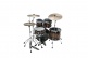 Starclassic Walnut/birch Stage 22