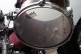 Starclassic Walnut/birch Stage 22 MDR