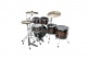 STARCLASSIC WALNUT/BIRCH STUDIO 22