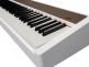 XP2 Blanc