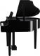 CLP-865 GP black