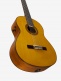 cg-ta transacoustic natural