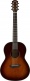 Csf1M Tbs